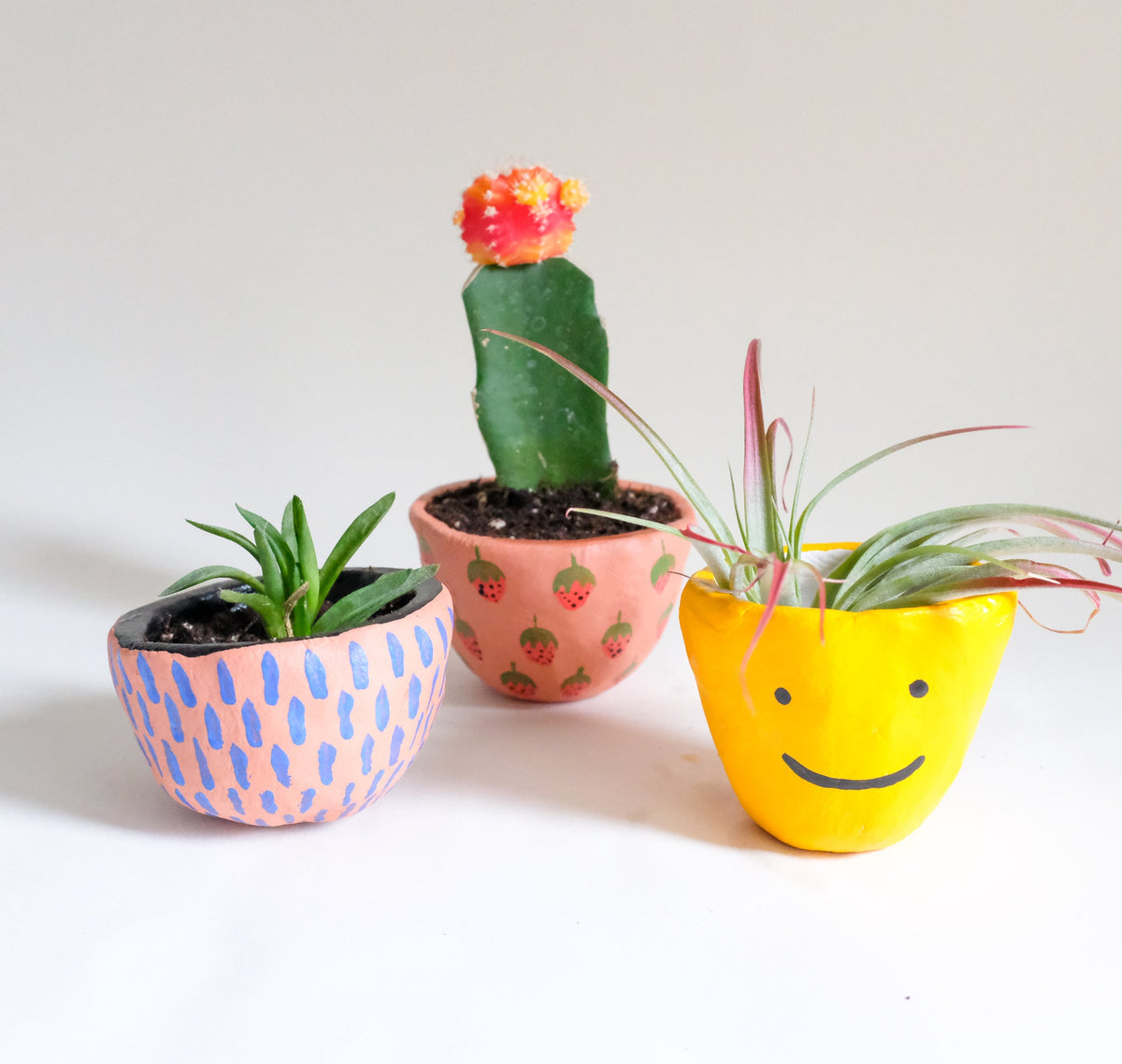Make Your Own Clay Painted Pinch Pots For Air Plants And Succulents – Jenny  Lemons
