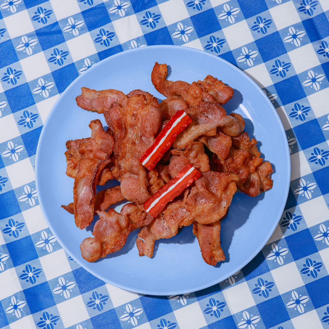 Bacon Hair Clip Set Accessories Jenny Lemons