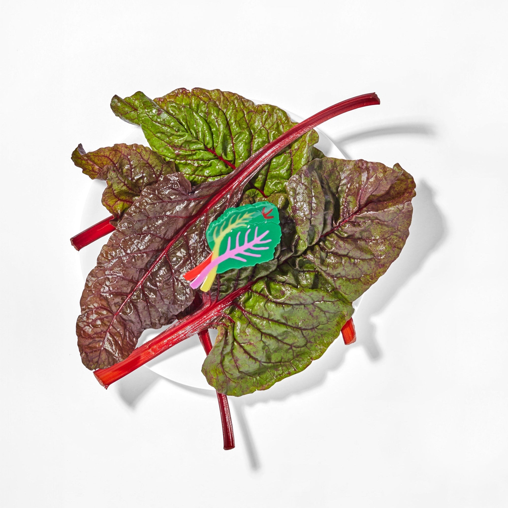 Rainbow Chard Hair Claw Accessories Jenny Lemons