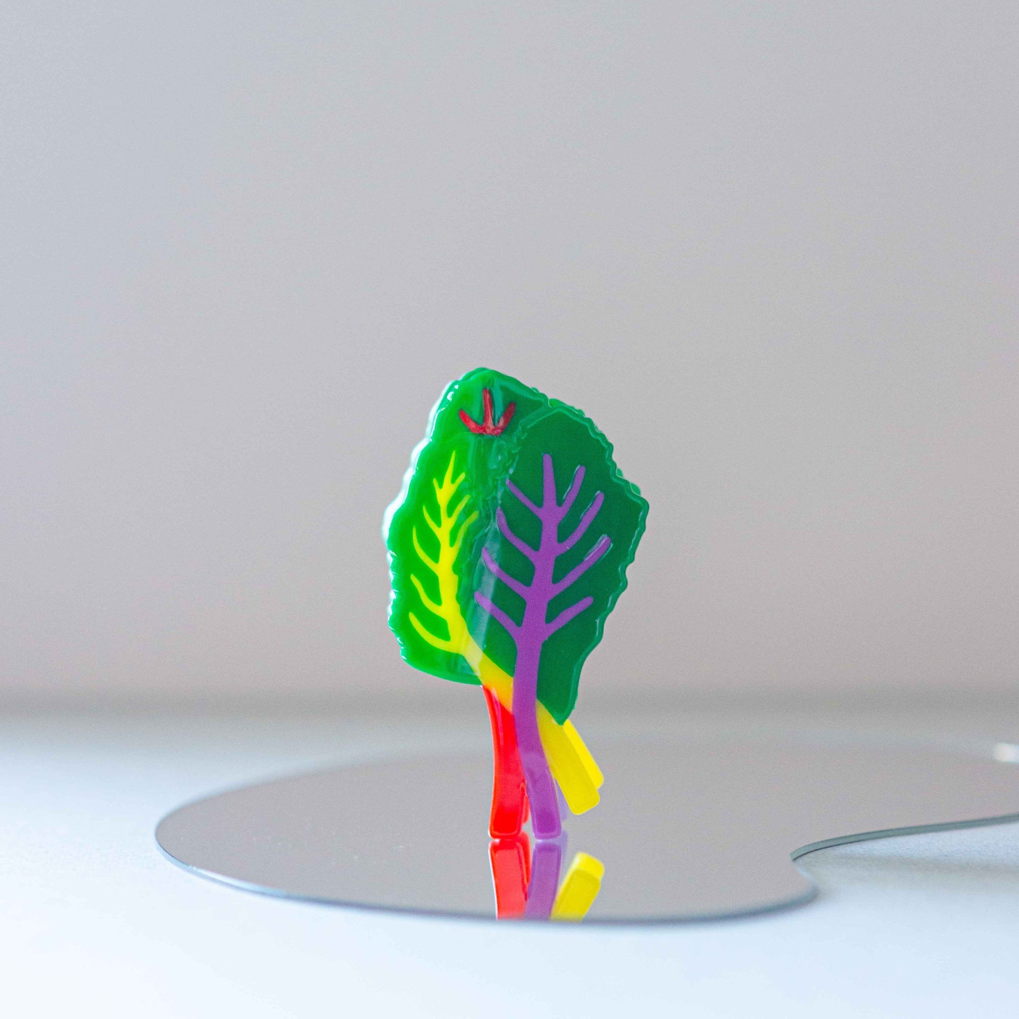 Rainbow Chard Hair Claw Accessories Jenny Lemons