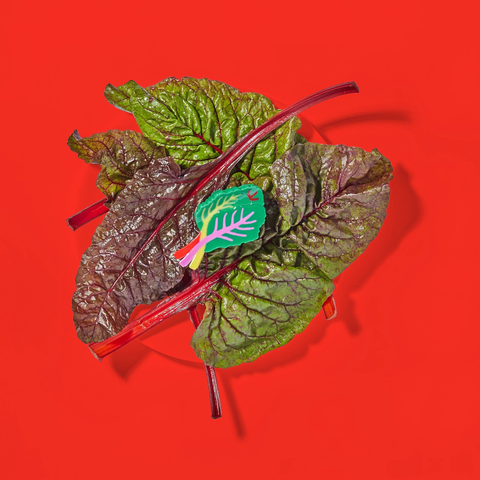 Rainbow Chard Hair Claw Accessories Jenny Lemons