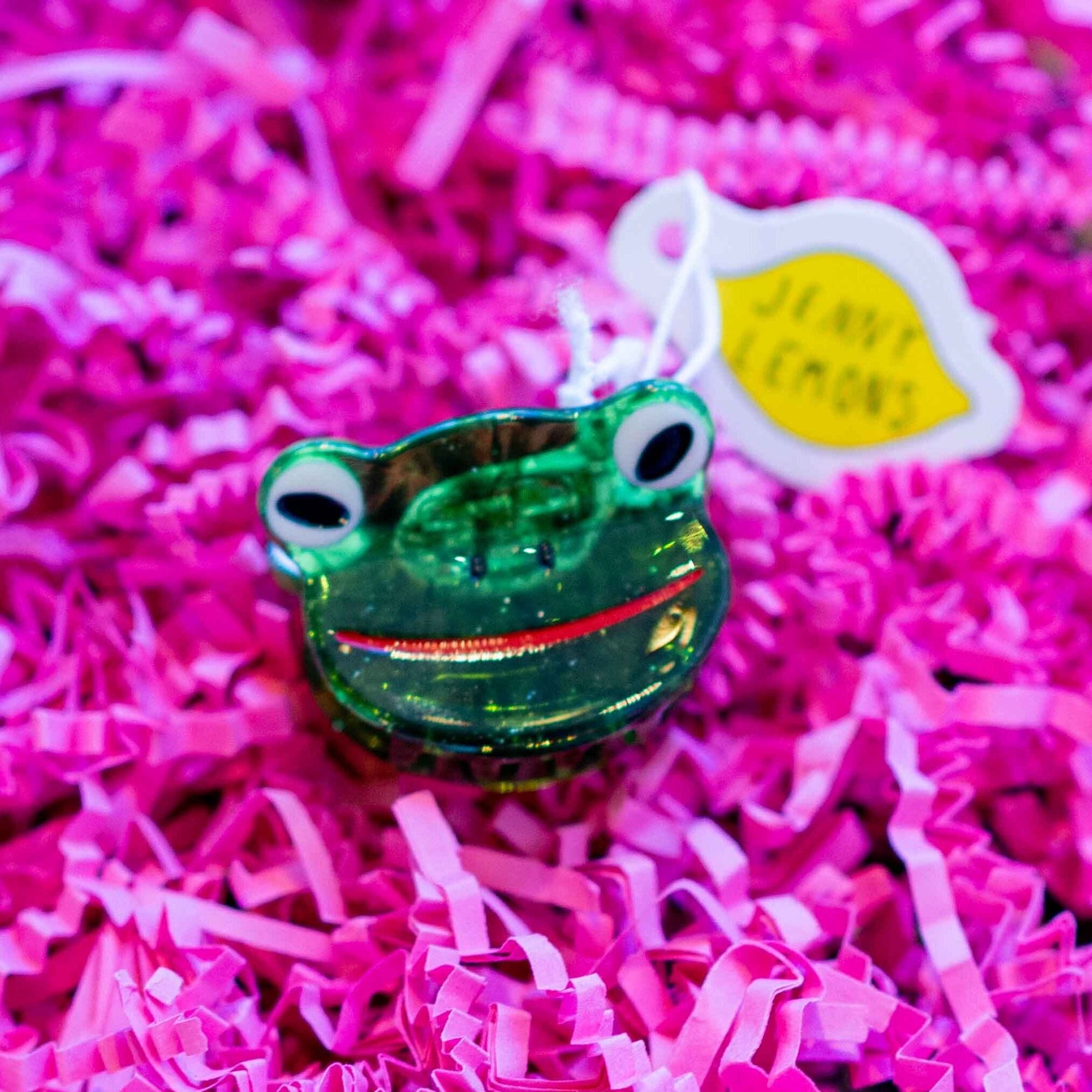 Mini Froggy Hair Claw Accessories Jenny Lemons