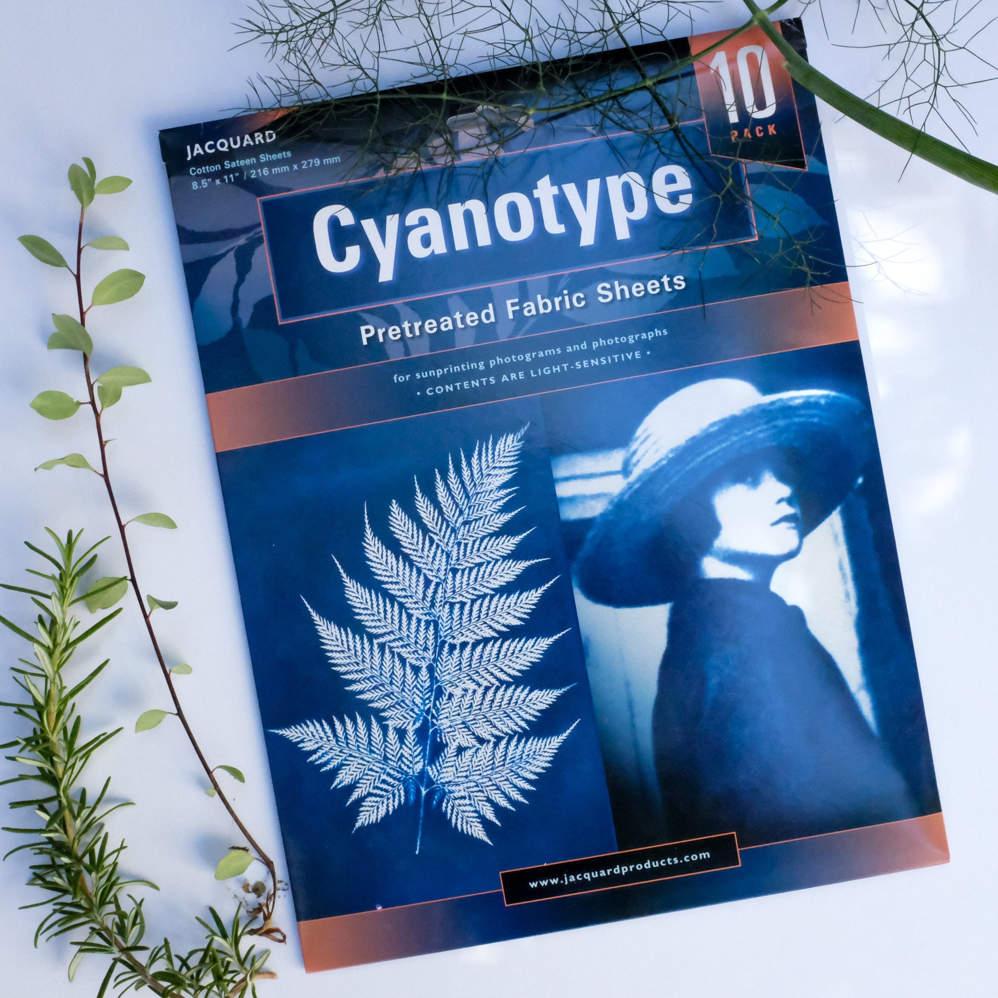 Cyanotype Tutorial- Printing with the Sun