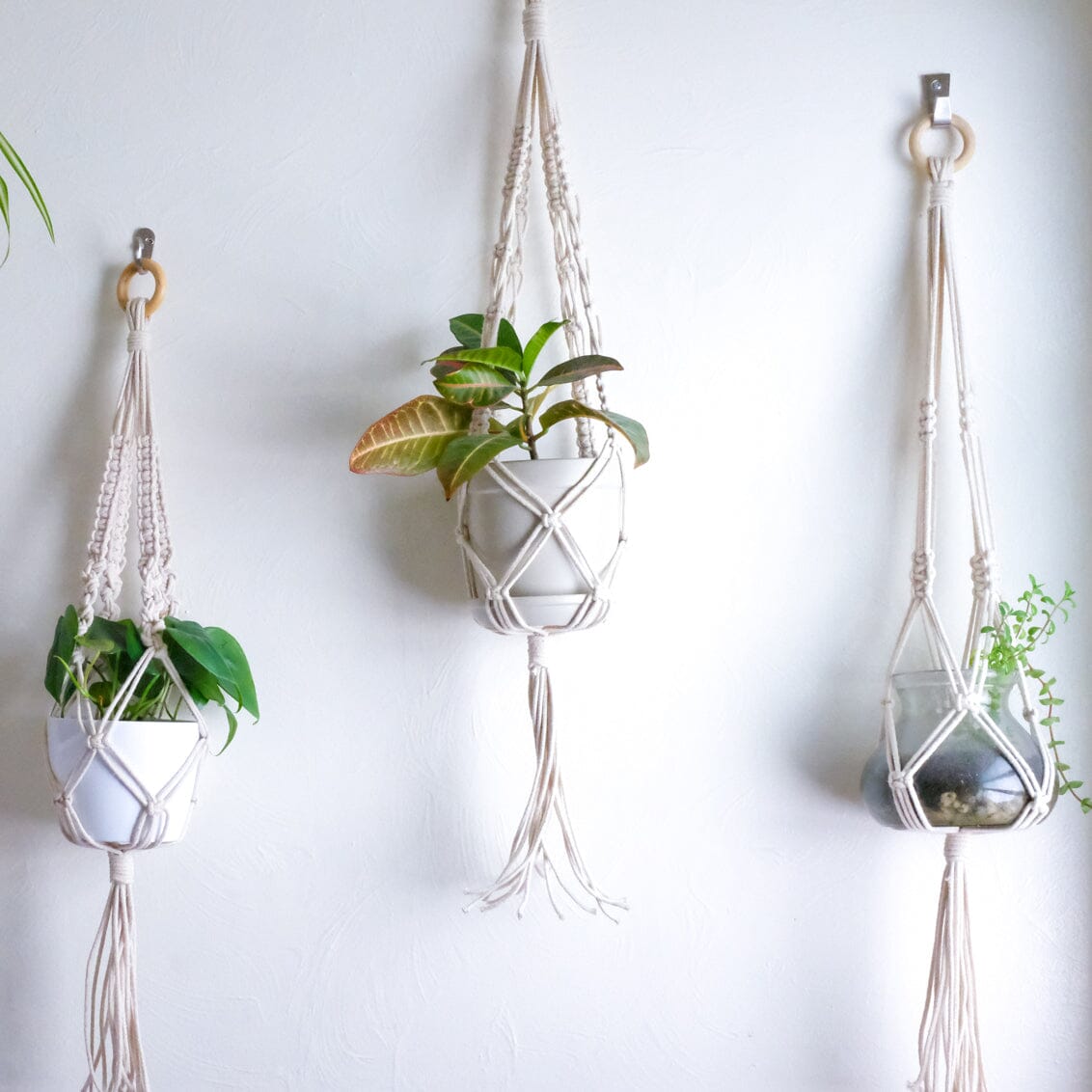 DIY Macrame Plant Hanger Tutorial - Bathroom Makeover