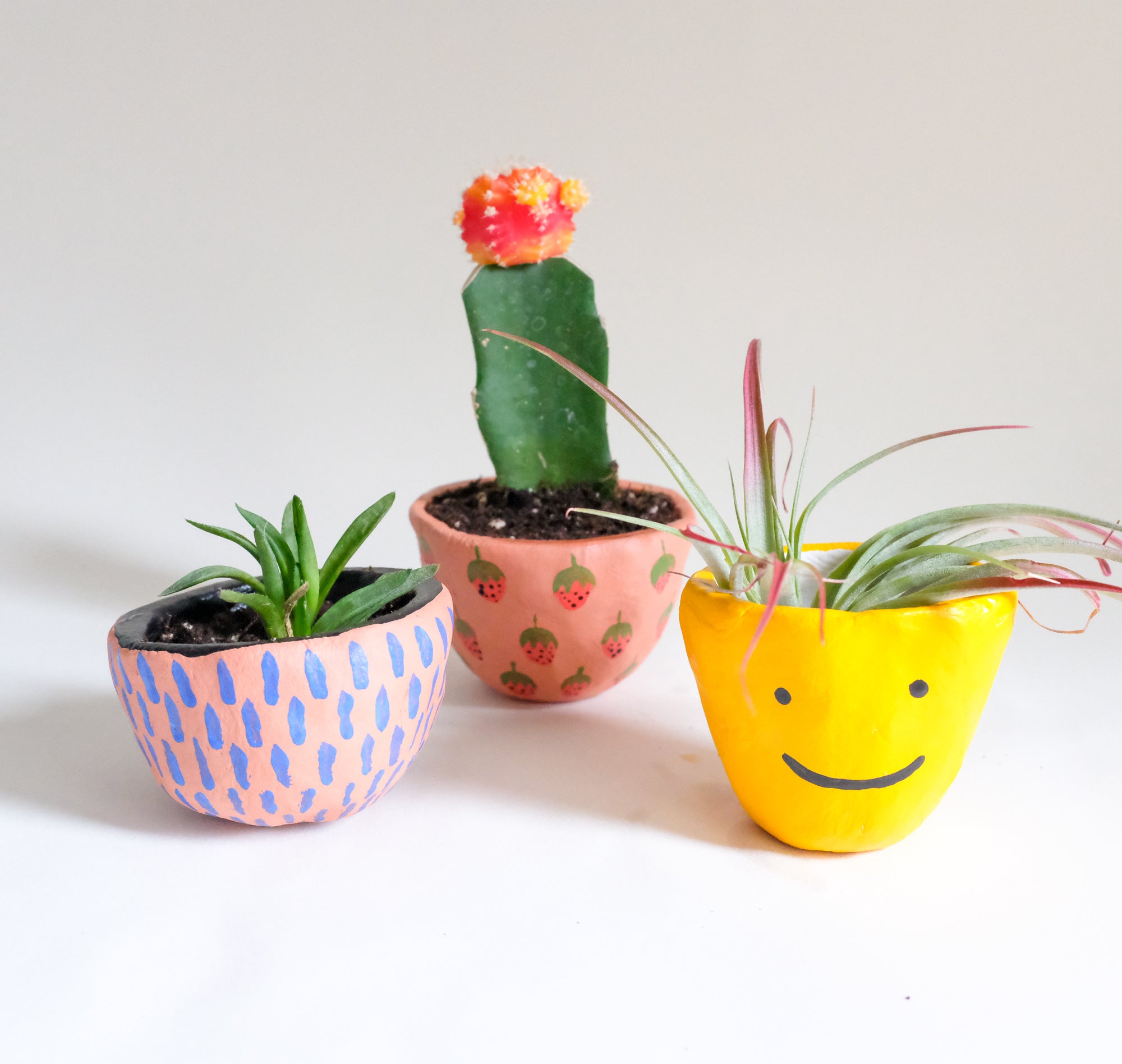 Hand Painted Pinch Pot Planters