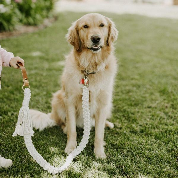 Make A Macrame Dog Collar