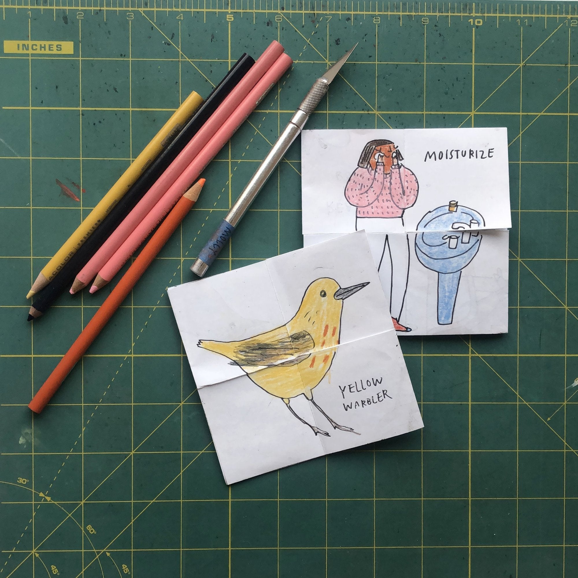 Make A Paper Flexagon Comic Strip