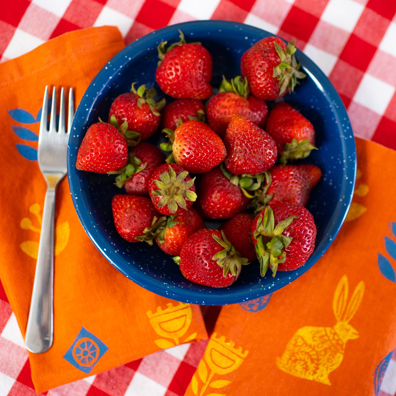 Picnic Perfect Block Printed Napkins