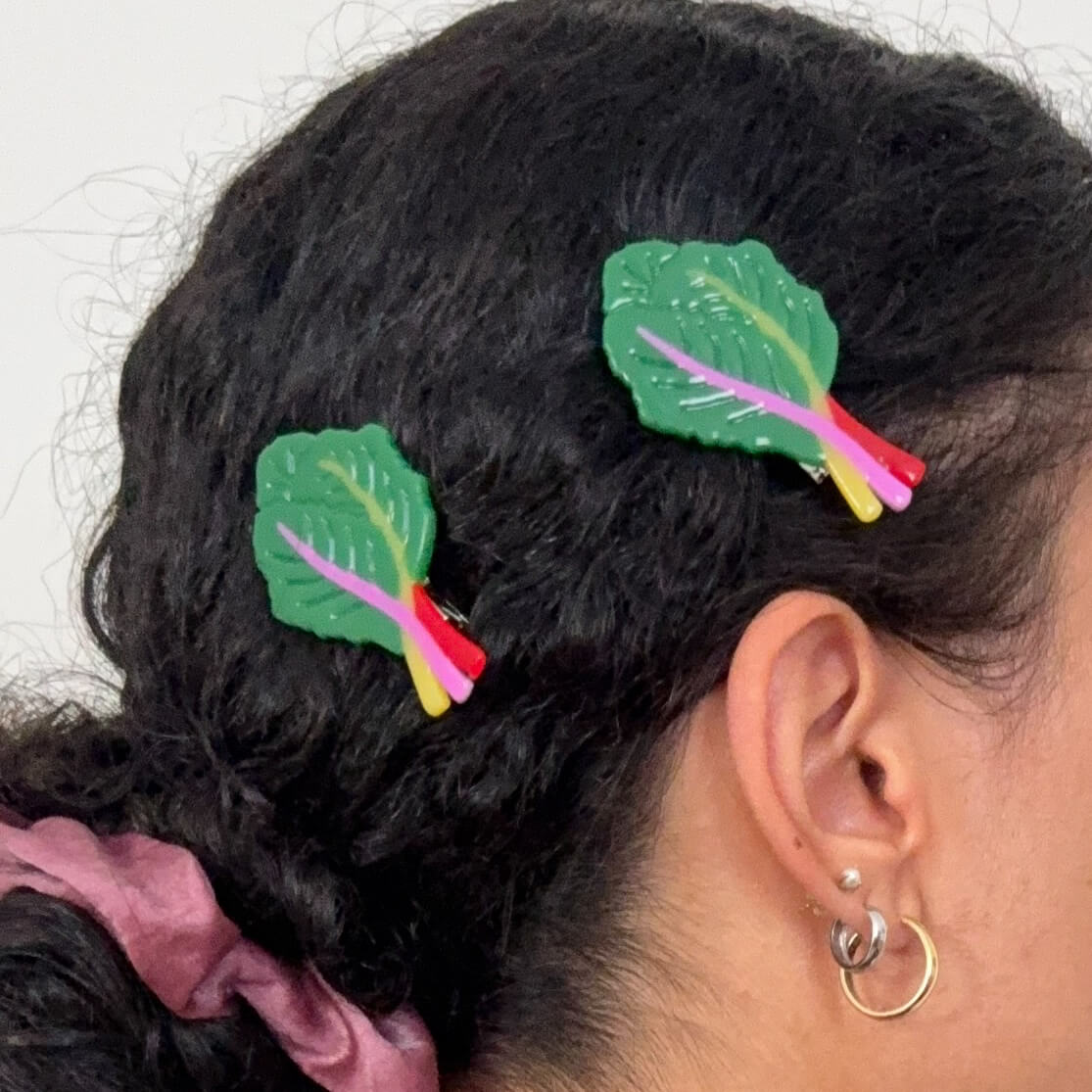 Rainbow Chard Alligator Hair Clip Set