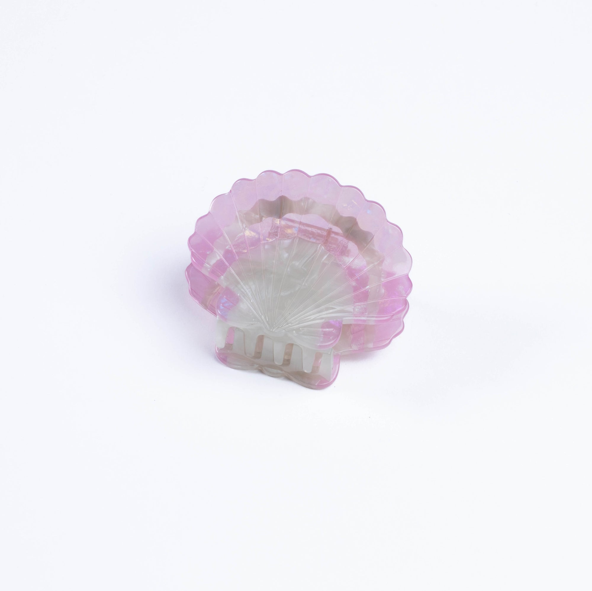 Midi Scallop Shell Hair Claw Clip