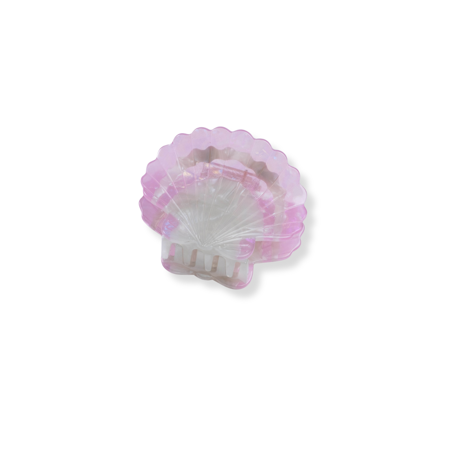 Midi Scallop Shell Hair Claw Clip