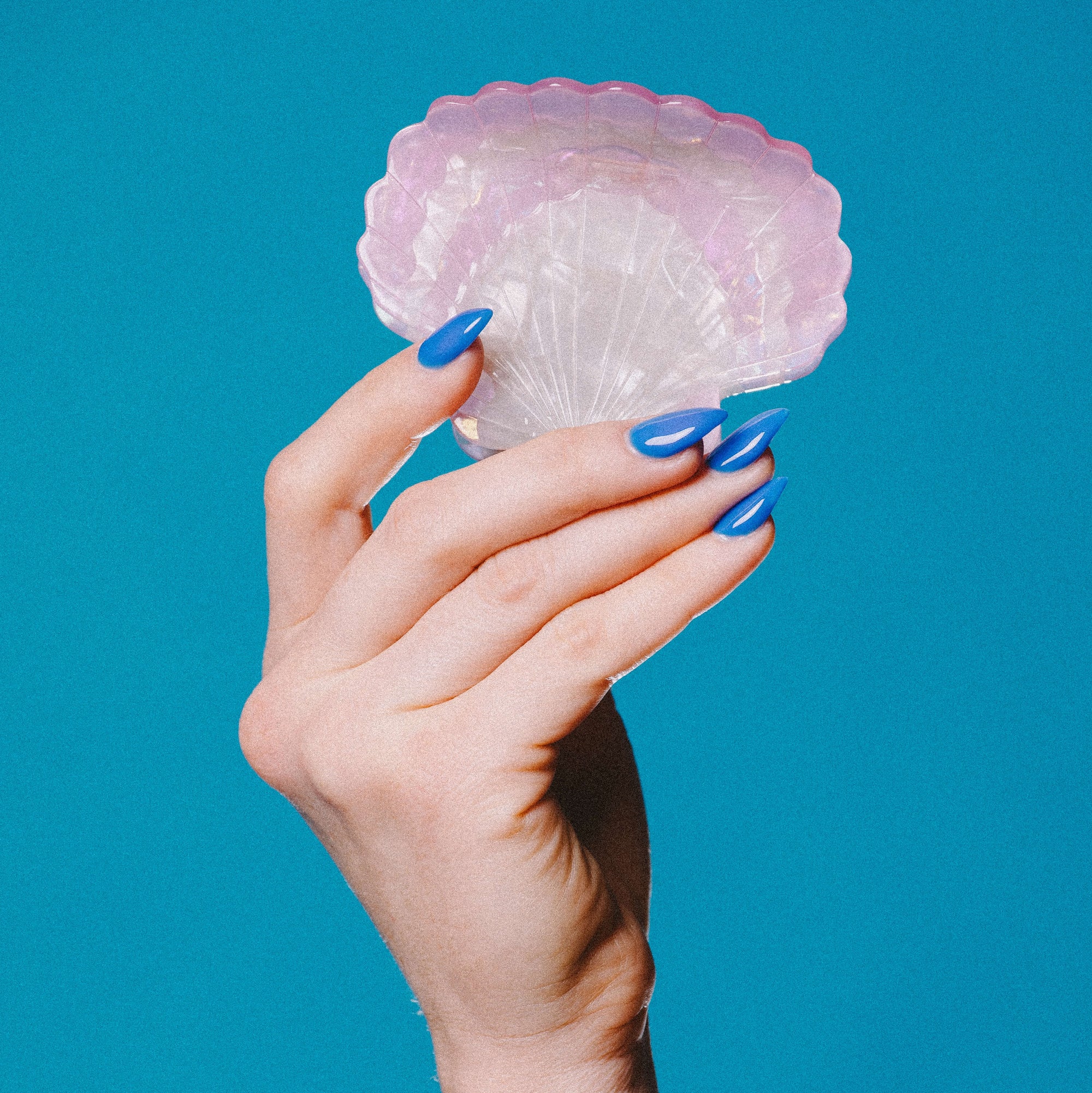Large Scallop Shell Hair Claw Clip