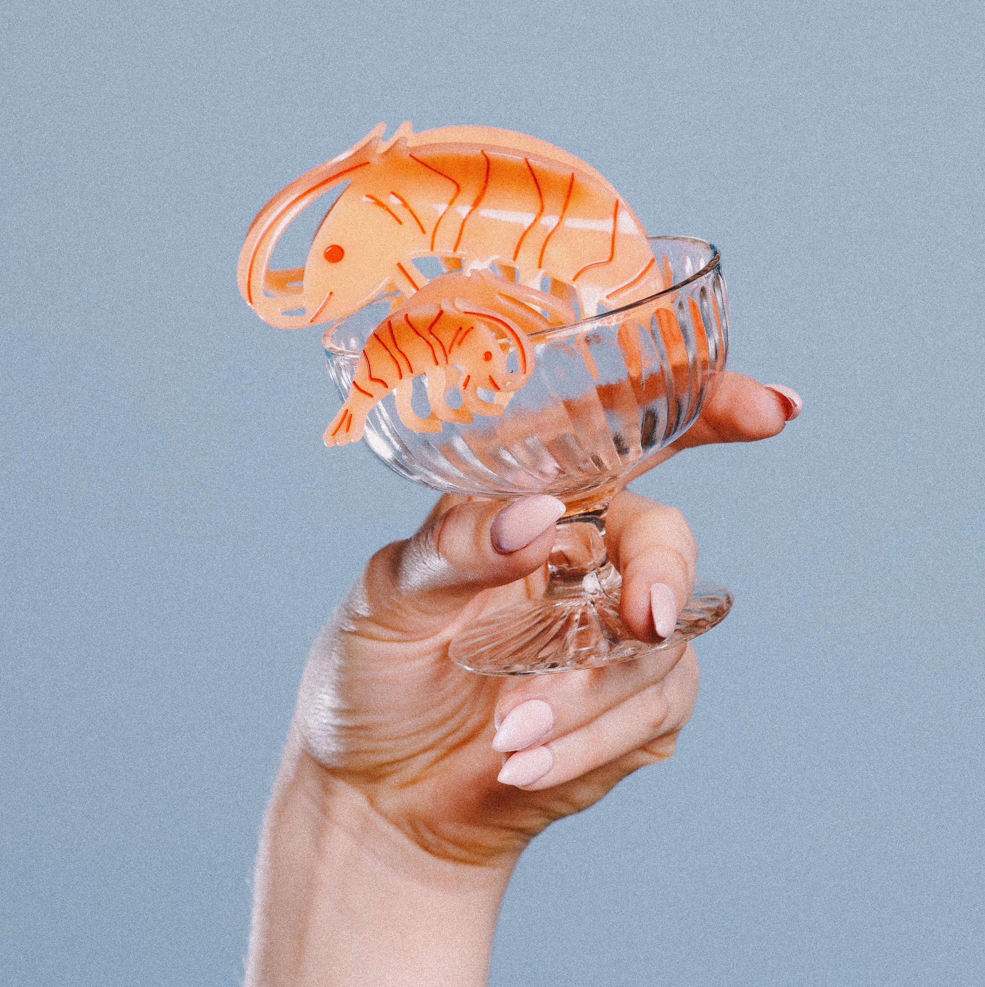Large Shrimp Hair Claw Clip
