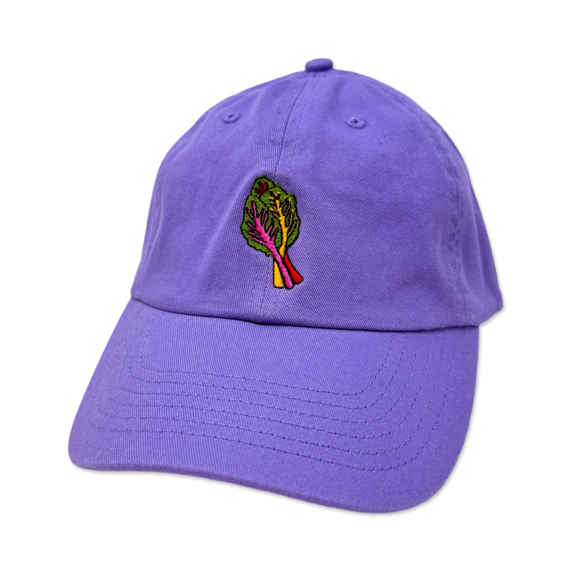 Embroidered Rainbow Chard Hat Accessories Jenny Lemons