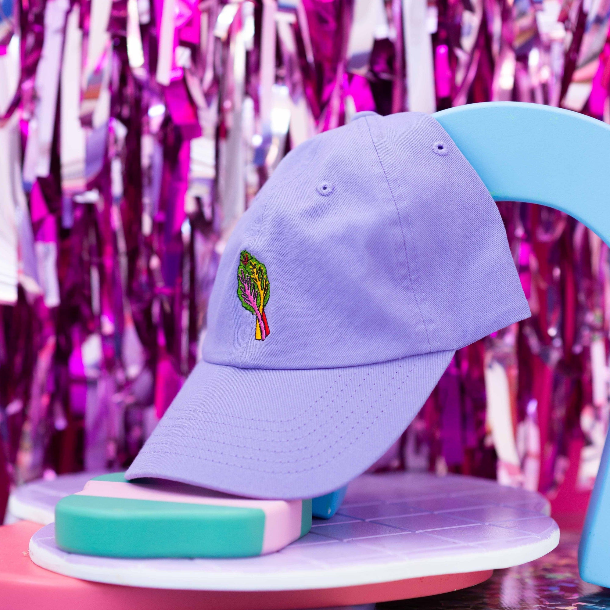 Embroidered Rainbow Chard Hat Accessories Jenny Lemons