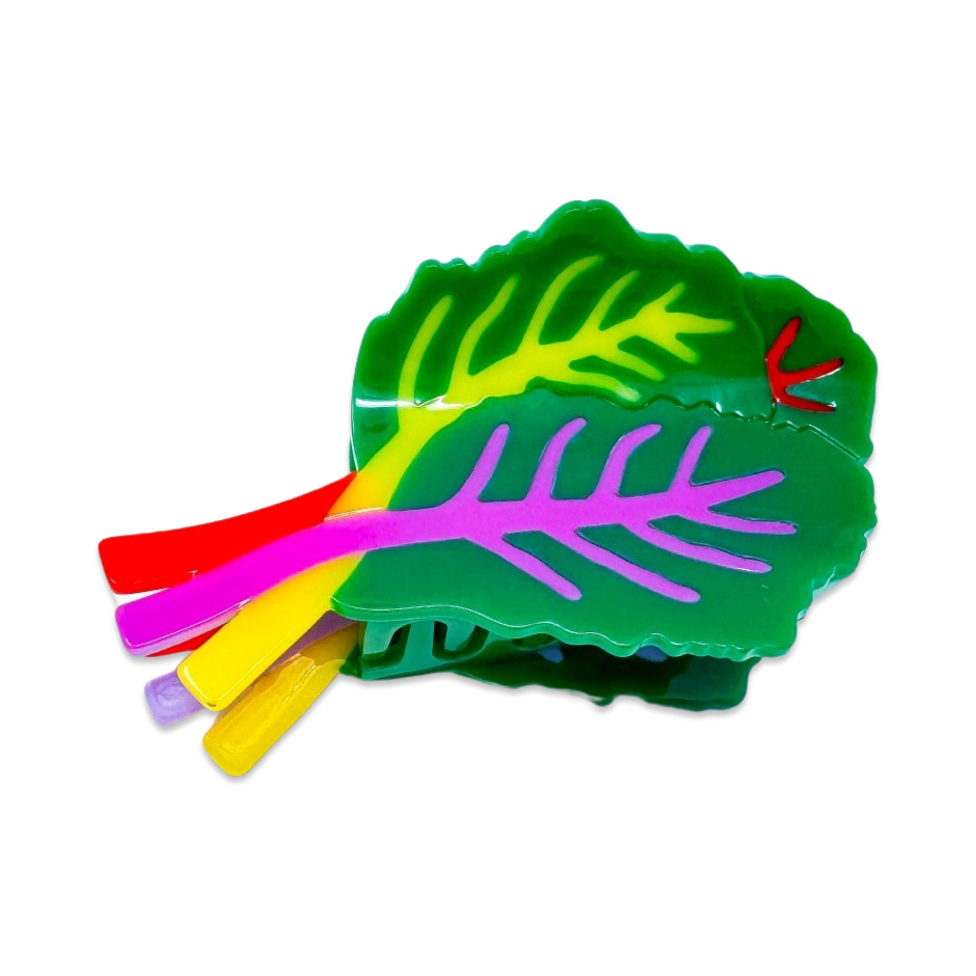 Large Rainbow Chard Hair Claw Clip – Jenny Lemons
