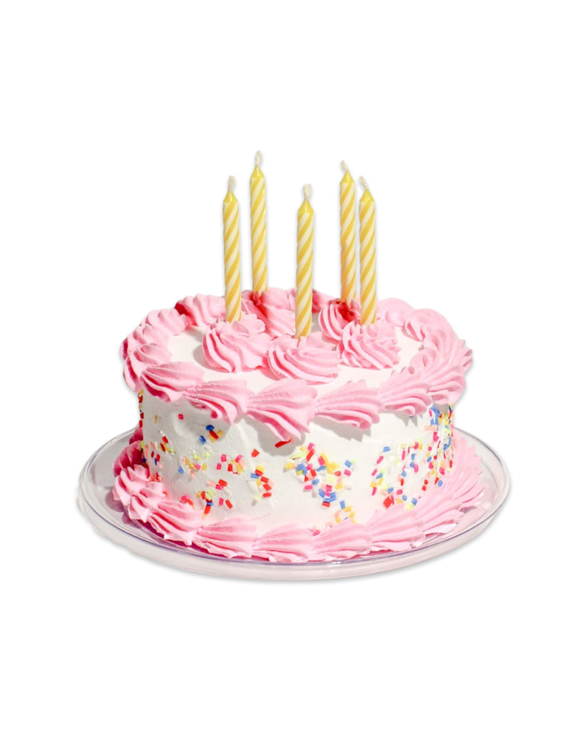 Birthday Fake Cake Craft Kit Art/Craft Supplies Jenny Lemons 
